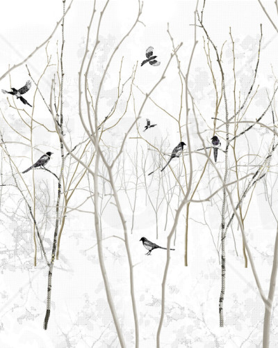 Pattern Magpie, Photowall