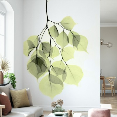 Fototapet Photowall PHW-E21792. Conține culorile: Verde, Verde Pastel, Verde, Verde Palid, Verde, Verde Măsliniu, Negru, Negru Închis, Alb, Alb Trafic