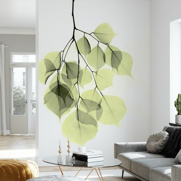 Fototapet Photowall PHW-E21792. Conține culorile: Verde, Verde Pastel, Verde, Verde Palid, Verde, Verde Măsliniu, Negru, Negru Închis, Alb, Alb Trafic