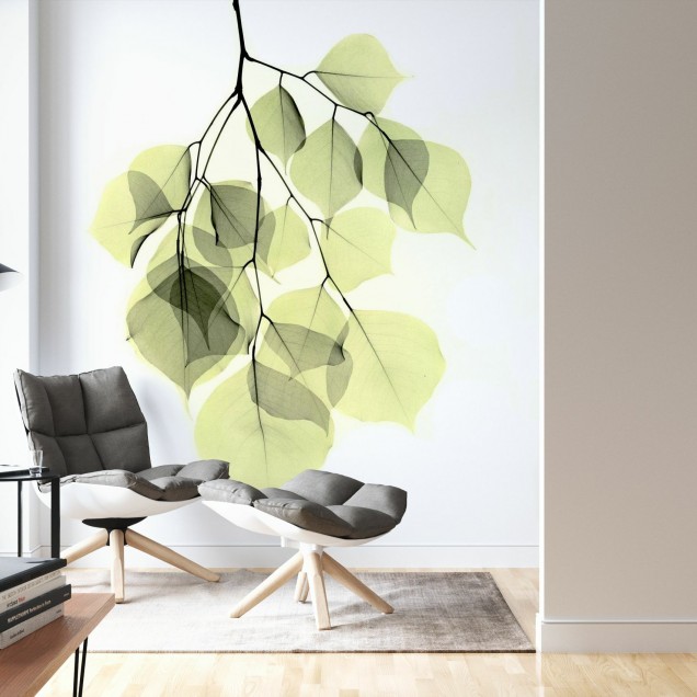 Fototapet Photowall PHW-E21792. Conține culorile: Verde, Verde Pastel, Verde, Verde Palid, Verde, Verde Măsliniu, Negru, Negru Închis, Alb, Alb Trafic