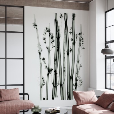 Tapet minimalist cu plante din deșert, perfect pentru a adăuga un strop de natură în casa ta.