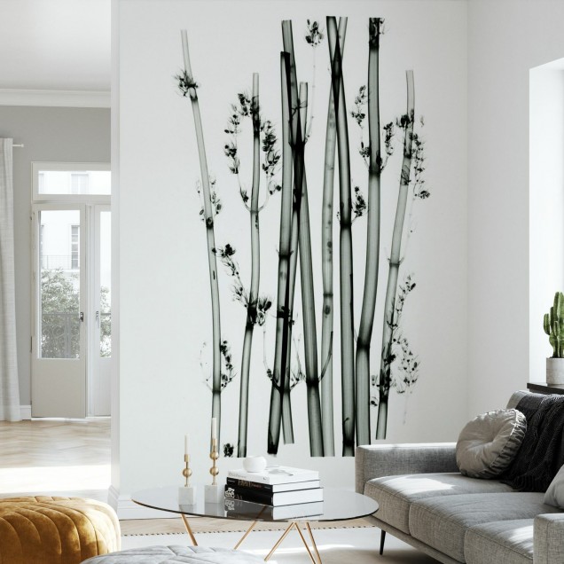 Tapet minimalist cu plante din deșert, perfect pentru a adăuga un strop de natură în casa ta.