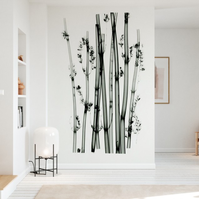 Tapet minimalist cu plante din deșert, perfect pentru a adăuga un strop de natură în casa ta.