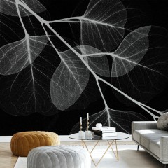 Fototapet Eucalyptus Black, personalizat, Photowall