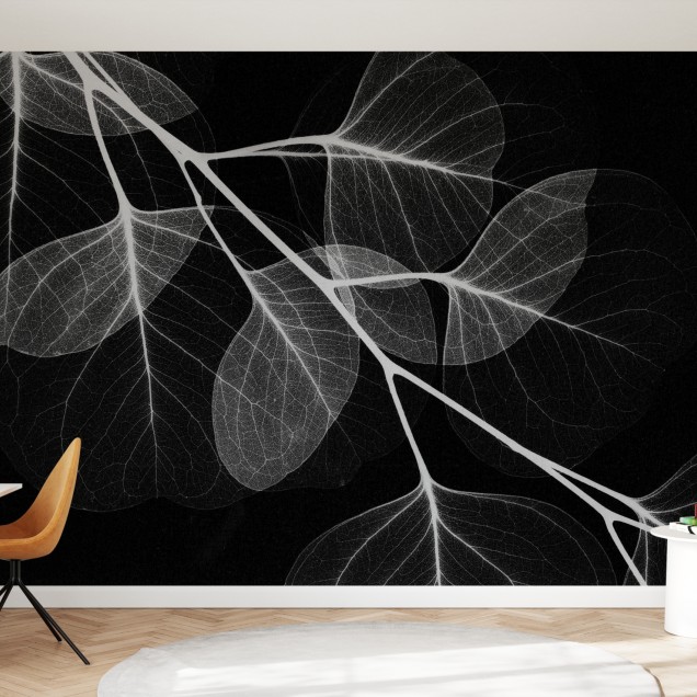 Fototapet Photowall PHW-E21795. Conține culorile: Negru, Negru Închis, Gri, Telegri 4, Gri, Gri Grafit, Gri, Gri Prăfuit