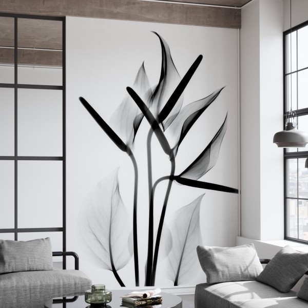 Flamingo, 220x270cm, Photowall