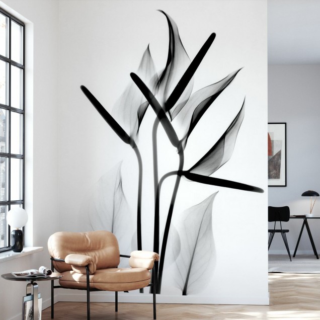 Fototapet floral alb-negru, design interior modern