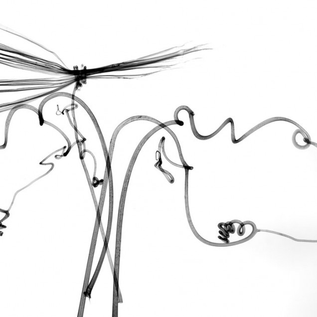 Tapet Dragonfly, abstract minimalist, modern, design artistic