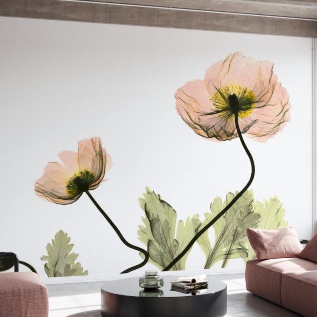 Fototapet floral cu maci islandezi în decor modern