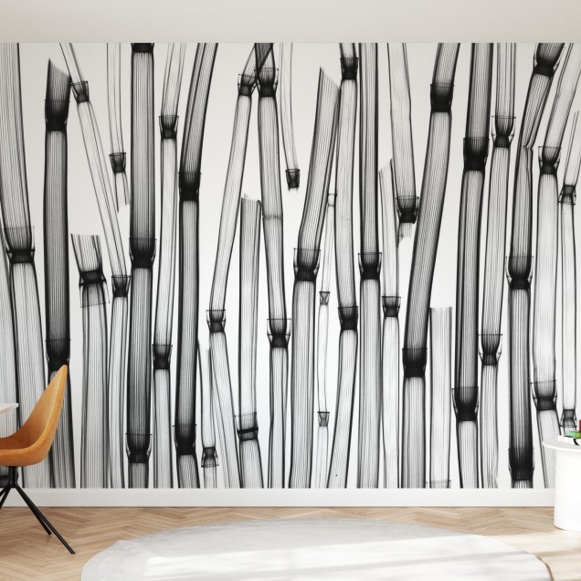 Tapet Horsetail cu design minimalist in nuante de gri