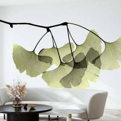 Tapet cu design minimalist Ginkgo Biloba, cu frunze de Ginkgo Biloba in tonuri delicate de verde