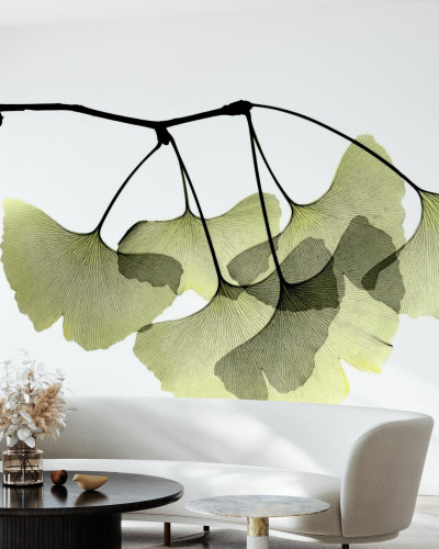 Tapet cu design minimalist Ginkgo Biloba, cu frunze de Ginkgo Biloba in tonuri delicate de verde