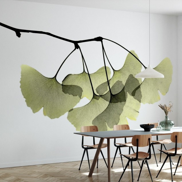 Tapet cu design minimalist Ginkgo Biloba, cu frunze de Ginkgo Biloba in tonuri delicate de verde