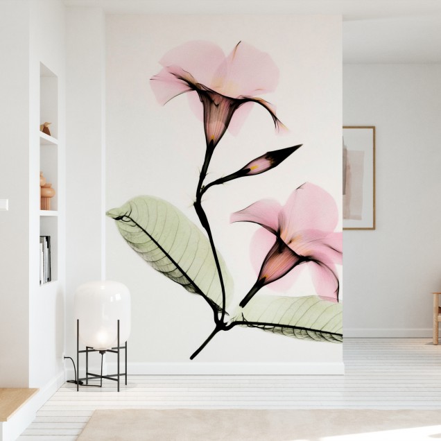 Tapet 3D cu flori Mandevilla