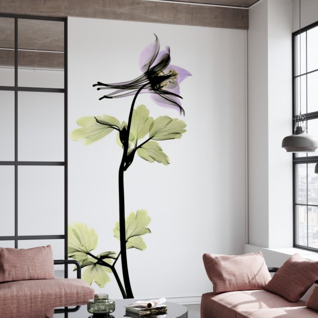 Tapet floral Columbine cu o floare delicata in nuante de violet si verde