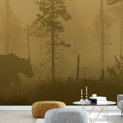 Bear in Morning Fog wallpaper, un urs intr-o padure cu ceață dimineata.