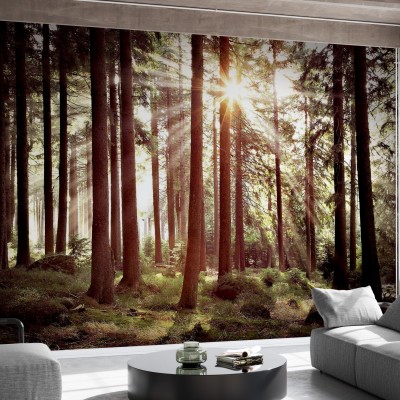 Sunbeam through Trees wallpaper, retro style forest scene with sunlight streaming through the trees
