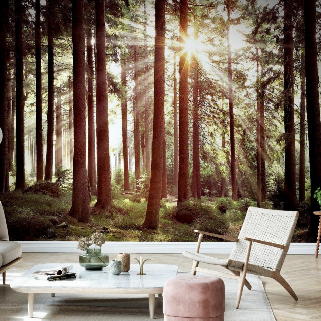 Sunbeam through Trees wallpaper, retro style forest scene with sunlight streaming through the trees
