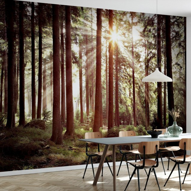 Sunbeam through Trees wallpaper, retro style forest scene with sunlight streaming through the trees