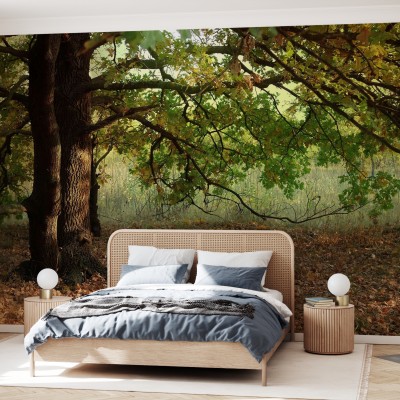 Autumn Leaves of Oak Tree wallpaper with sun shining through the leaves