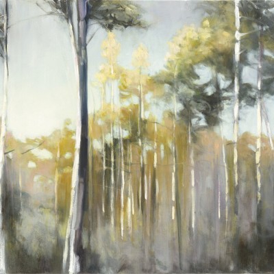 Imagine cu tapetul Aspen Reverie care ilustrează o pădure cu o lumină caldă și o atmosferă liniștită.