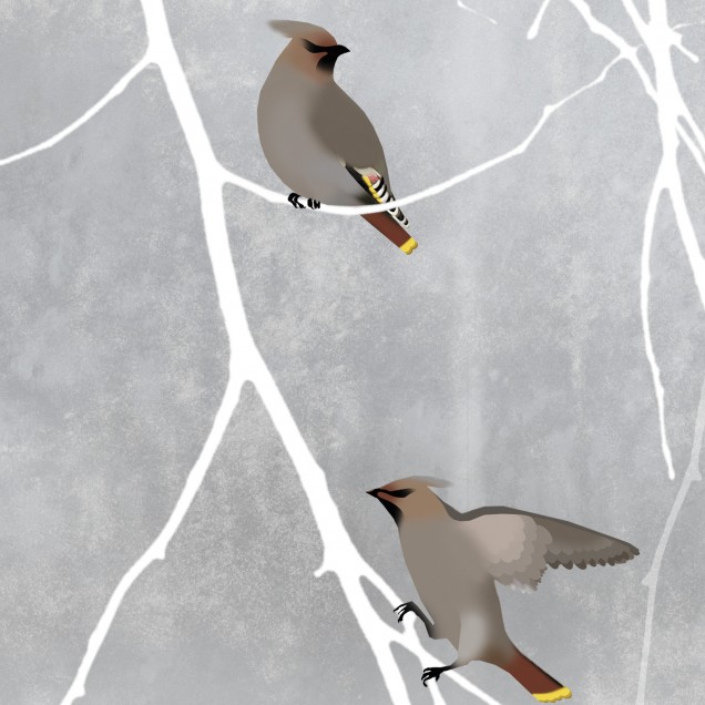 Fototapet cu model Bohemian Birds Pale Blue - un design minimalist cu ramuri albe și păsări gri pe un fundal albastru pal.