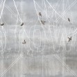 Bohemian Birds, Pale Blue, Photowall