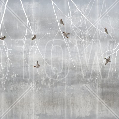 Fototapet cu model Bohemian Birds Pale Blue - un design minimalist cu ramuri albe și păsări gri pe un fundal albastru pal.