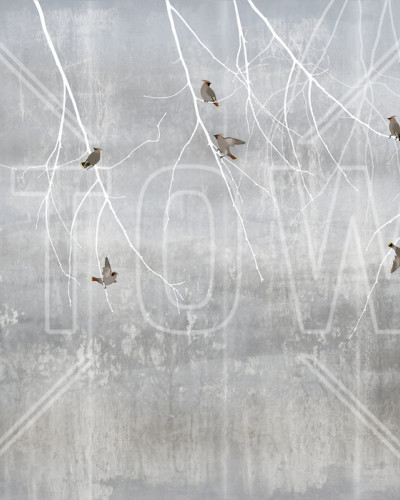 Fototapet cu model Bohemian Birds Pale Blue - un design minimalist cu ramuri albe și păsări gri pe un fundal albastru pal.