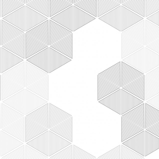 Tapet Hexagon gri cu design geometric modern