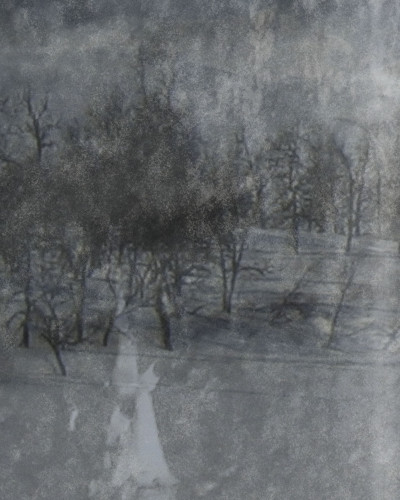 Lost Landscape, Dark, Photowall