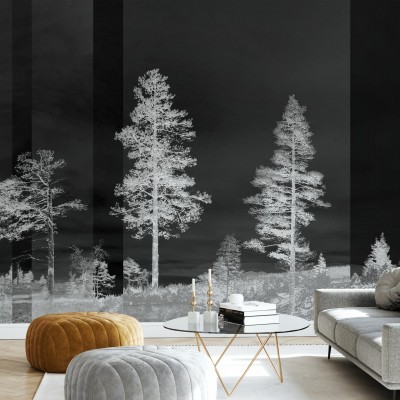 Tapet de perete Panorama Black cu design minimalist in nuante de gri si negru.