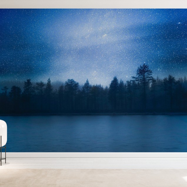 Un Andromeda cu cerul nopții înstelat deasupra unui lac și a unei păduri.