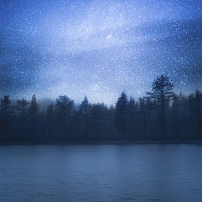 Un Andromeda cu cerul nopții înstelat deasupra unui lac și a unei păduri.