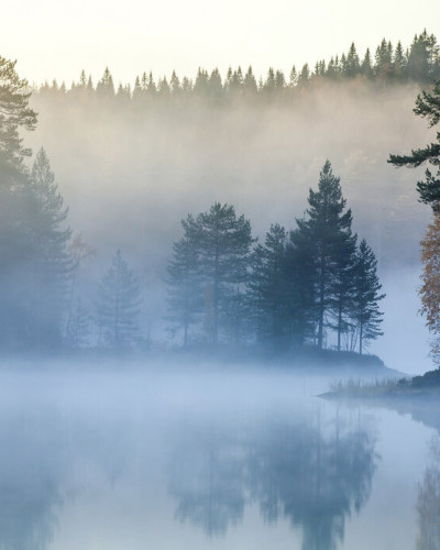 Wallpaper cu o imagine a unui lac învăluit în ceață, cu păduri înalte în jur