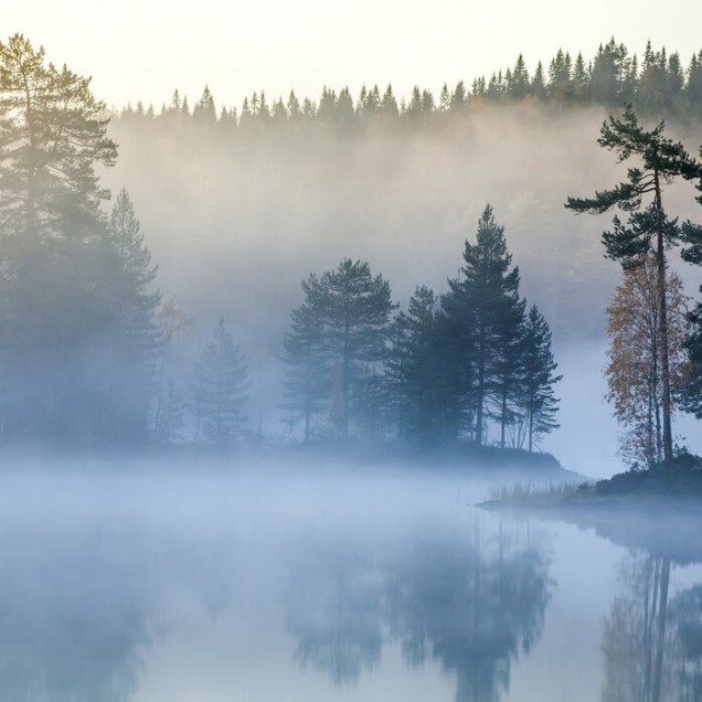 Wallpaper cu o imagine a unui lac învăluit în ceață, cu păduri înalte în jur