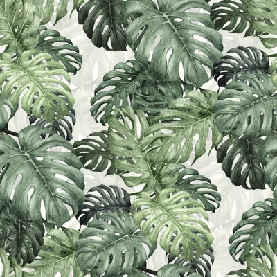 Tapet cu frunze de Monstera - Design tropical vibrant