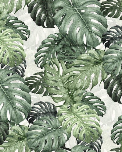 Tapet cu frunze de Monstera - Design tropical vibrant