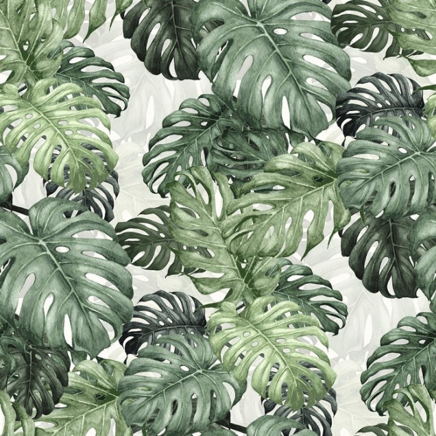 Tapet cu frunze de Monstera - Design tropical vibrant