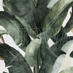 Fototapet Botany Banana, personalizat, Photowall