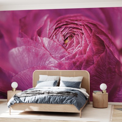 Tapet foto Ranunculus Abstract, cu o floare de ranuncul in culori vibrante