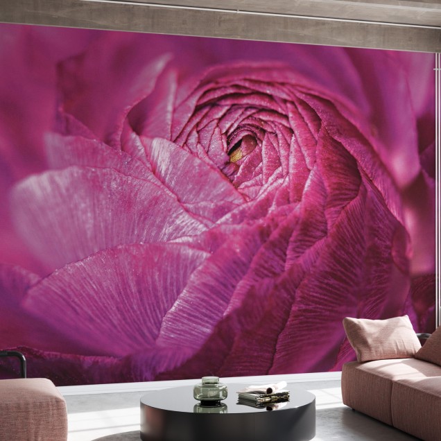 Tapet foto Ranunculus Abstract, cu o floare de ranuncul in culori vibrante