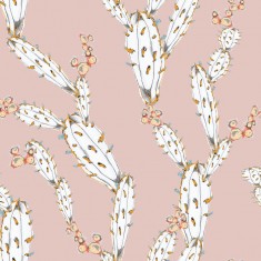 Fototapet Mostly Cactus Pink, Personalizat, Photowall
