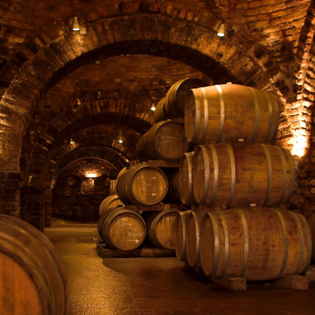 Tapet foto cu butoaie de vin într-o pivniță