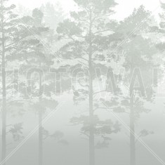 Fototapet Misty Pine Forest, Green, Personalizat, Photowall