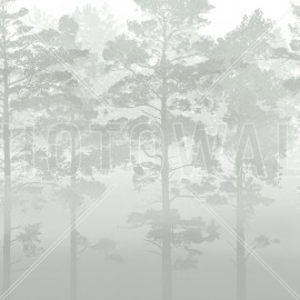 Fototapet Misty Pine Forest, Verde, Personalizat, Photowall
