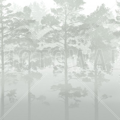 Fototapet Misty Pine Forest, Verde, Personalizat, Photowall, Fototapet living 