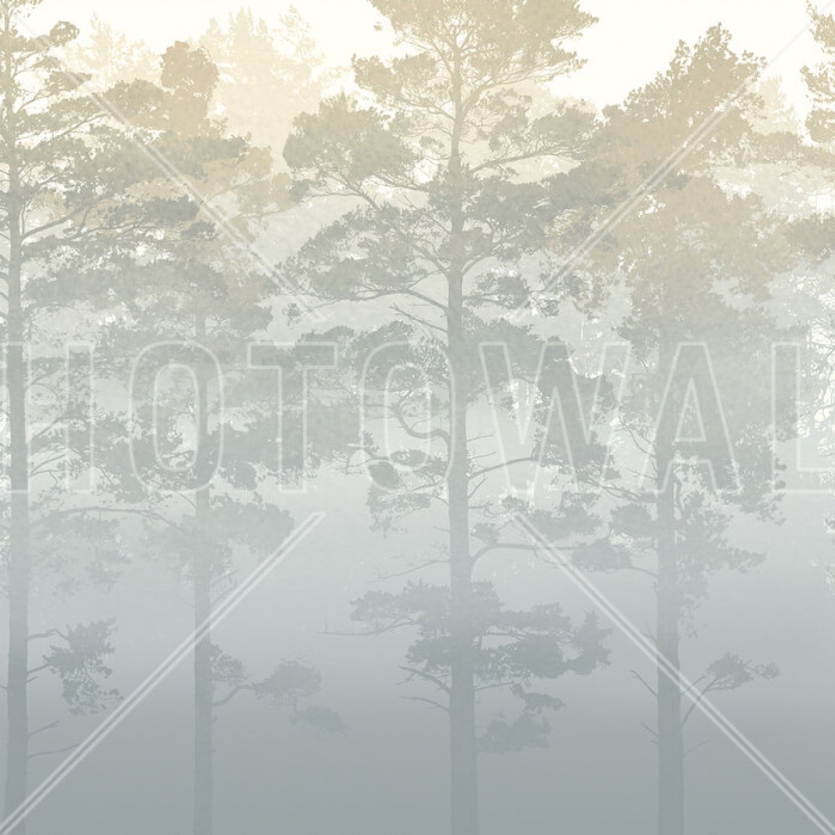 Fototapet Misty Pine Forest, Personalizat, Photowall, Fototapet living 