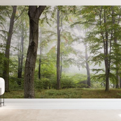 Tapet foto Forest Fog cu imaginea unei paduri învăluite în ceață