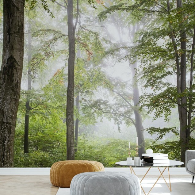 Tapet foto Forest Fog cu imaginea unei paduri învăluite în ceață